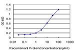DLX3 Antibody in ELISA (ELISA)