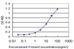 DLX3 Antibody in ELISA (ELISA)