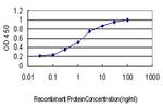 DLX4 Antibody in ELISA (ELISA)