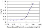 DMP1 Monoclonal Antibody (1D4)