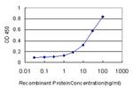 DNASE1L1 Antibody in ELISA (ELISA)