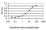DNM2 Antibody in ELISA (ELISA)