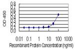 DOCK1 Antibody in ELISA (ELISA)