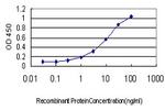 ATN1 Antibody in ELISA (ELISA)