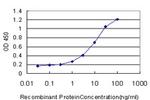 DSC3 Antibody in ELISA (ELISA)
