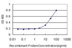 PHC1 Antibody in ELISA (ELISA)