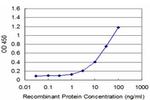 EGFR Monoclonal Antibody (4H2)