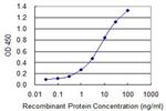 SERPINB1 Antibody in ELISA (ELISA)