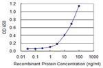 SERPINB1 Antibody in ELISA (ELISA)