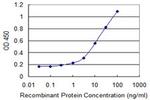 CTTN Antibody in ELISA (ELISA)