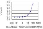 EN2 Antibody in ELISA (ELISA)