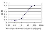ENG Antibody in ELISA (ELISA)