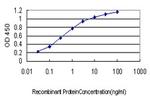 ENO3 Antibody in ELISA (ELISA)