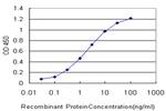 EPB41 Antibody in ELISA (ELISA)