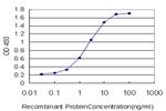 EPHB3 Antibody in ELISA (ELISA)