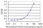 ERBB2 Antibody in ELISA (ELISA)