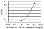 ERBB2 Antibody in ELISA (ELISA)