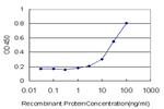ERBB3 Monoclonal Antibody (3F12)