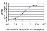 ETV5 Antibody in ELISA (ELISA)