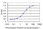 EVI2B Antibody in ELISA (ELISA)