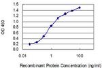 F2 Monoclonal Antibody (1B19)