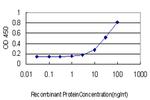 F11 Antibody in ELISA (ELISA)