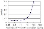 FANCF Antibody in ELISA (ELISA)