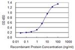 FASN Antibody in ELISA (ELISA)