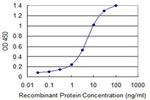 MS4A2 Antibody in ELISA (ELISA)