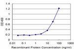 FCGR1A Antibody in ELISA (ELISA)
