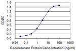 FGG Antibody in ELISA (ELISA)