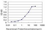 FGR Antibody in ELISA (ELISA)
