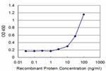 FH Antibody in ELISA (ELISA)