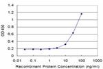 FH Antibody in ELISA (ELISA)