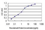 FHIT Antibody in ELISA (ELISA)
