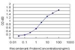 FOXM1 Antibody in ELISA (ELISA)