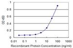 FOXM1 Antibody in ELISA (ELISA)