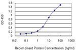 FLI1 Antibody in ELISA (ELISA)
