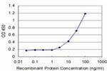 FOSL2 Antibody in ELISA (ELISA)