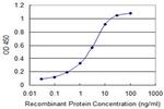 FXN Antibody in ELISA (ELISA)