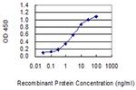 GAST Monoclonal Antibody (7G5)
