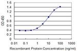 FUT5 Monoclonal Antibody (1H6)
