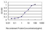 XRCC6 Antibody in ELISA (ELISA)