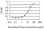 GAA Monoclonal Antibody (3C6)