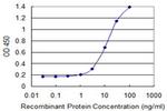 GALNT1 Antibody in ELISA (ELISA)