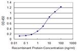 GLE1 Antibody in ELISA (ELISA)