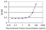 GNGT1 Antibody in ELISA (ELISA)
