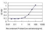 MKNK2 Antibody in ELISA (ELISA)