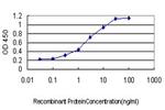 GRID1 Antibody in ELISA (ELISA)