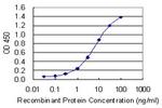 GRLF1 Antibody in ELISA (ELISA)